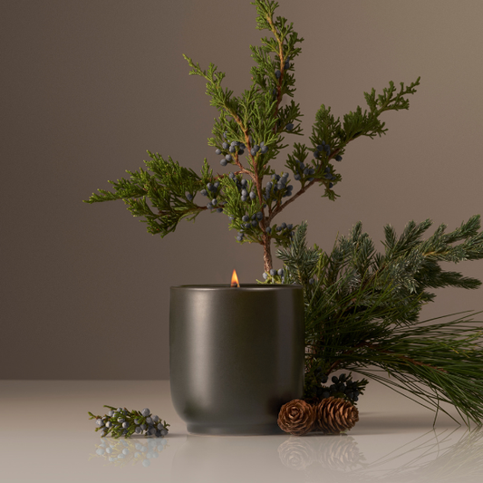 Holiday Limited Edition Balsam Fireplace Candle | Half Case: Balsam Fireplace