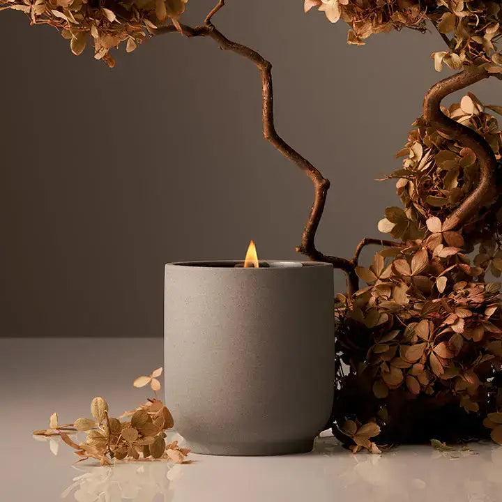 Signature Candle | Half Case: Mandarin Basile