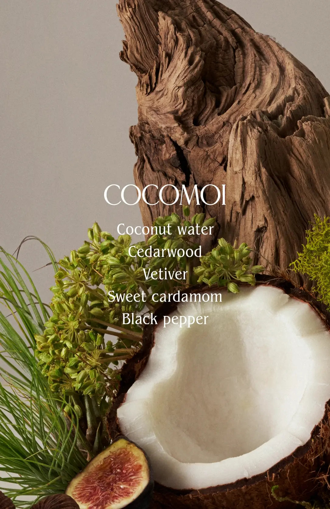Cocomoi Body Wash | Half Case