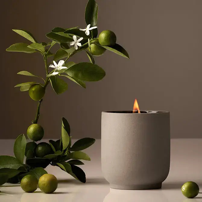 Signature Candle | Cipres Mint