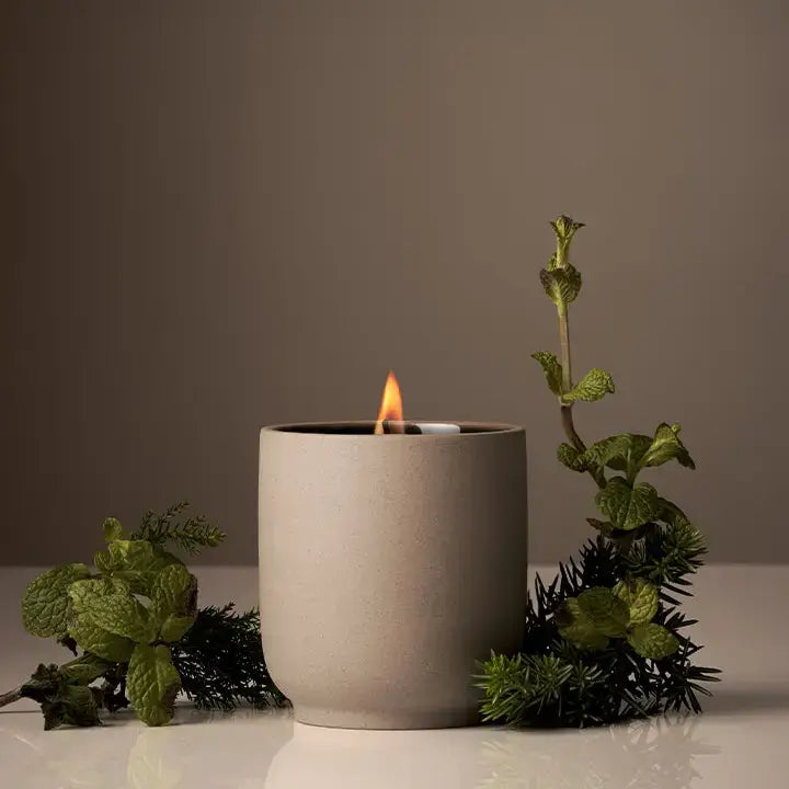 Signature Candle | Half Case: Mandarin Basile